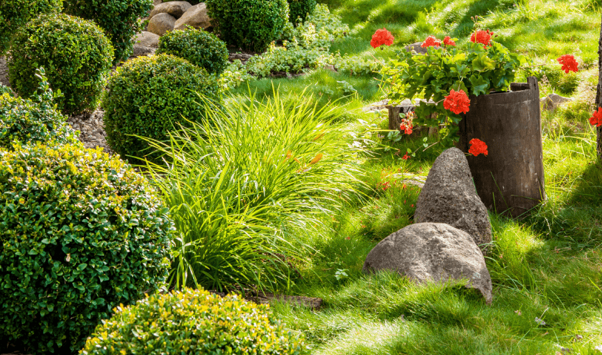 VD Landscaping